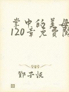 掌中的美母版主120章免费阅读