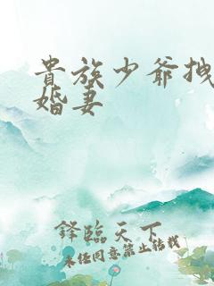 贵族少爷拽拽未婚妻