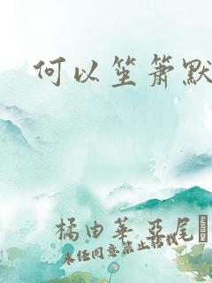 何以笙箫默续集