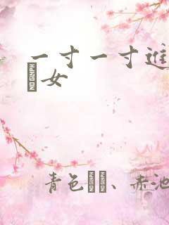 一寸一寸进入小姪女