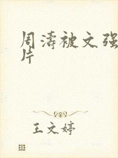 周涛被文强睡图片