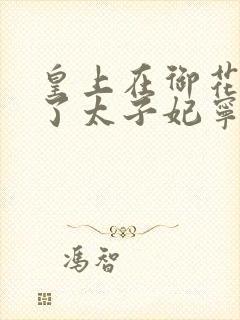 皇上在御花园C了太子妃宁儿