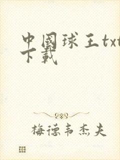 中国球王txt下载