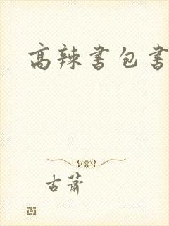 高辣书包书包网