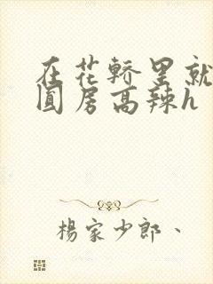 在花轿里就开始圆房高辣h