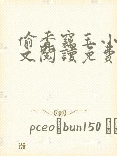 偷香窃玉小说全文阅读免费