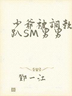 少爷被调教室跪趴SM男男