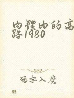 肉体内的高速公路1980
