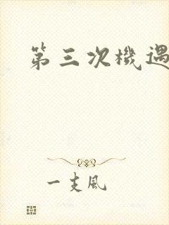 第三次机遇