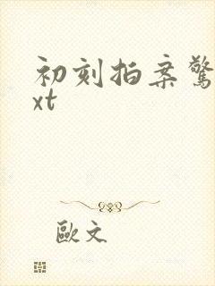 初刻拍案惊奇txt