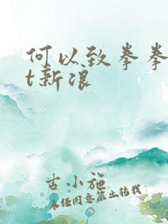 何以致拳拳txt新浪