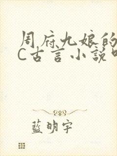 周府九娘的NPC古言小说叫什么