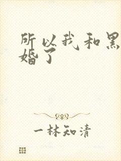 所以我和黑粉结婚了