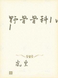 野骨骨科1 v1