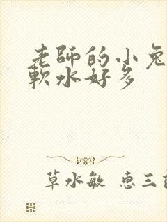 老师的小兔子好软水好多