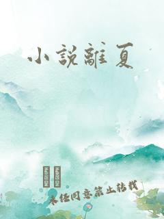 小说离夏