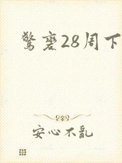 惊变28周下载