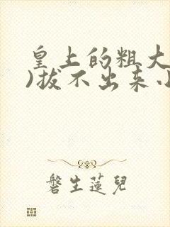 皇上的粗大(h)拔不出来小说