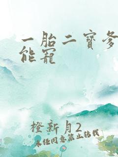 一胎二宝爹地超能宠