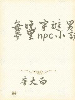 每晚穿进男神的梦里npc小说