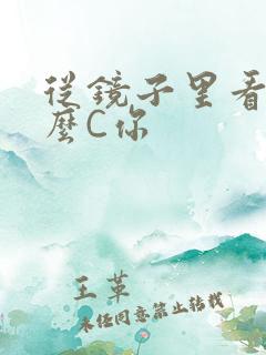 从镜子里看我怎么C你