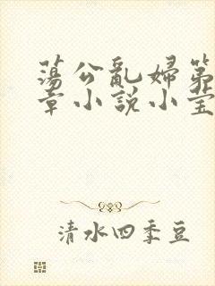 荡公乱妇第51章小说小莹