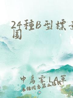 24种B型标意图