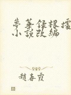 梦华录根据什么小说改编