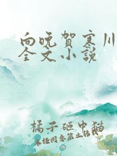 向晚贺寒川免费全文小说