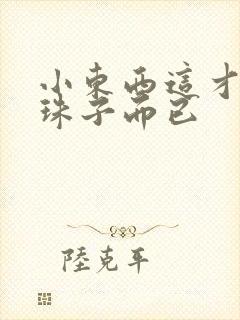 小东西这才一颗珠子而已