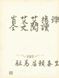 肖艾艾杨烁小说全文阅读