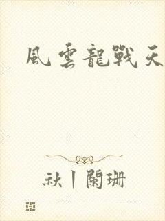 风云龙战天下