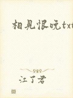 相见恨晚txt