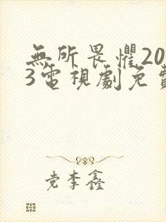 无所畏惧2023电视剧免费观看