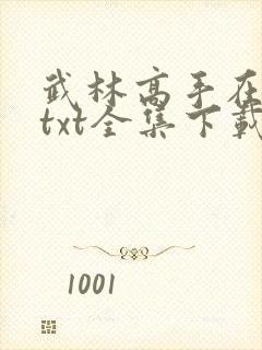武林高手在异世txt全集下载