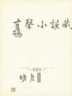 有声小说藏地密码