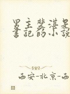 男主裴湛是省委书记的小说