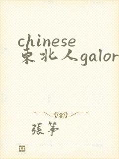 chinese东北人galore