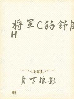 将军C的舒服么H