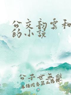 公交韵云和小健的小说