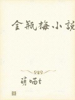 金瓶梅小说在线