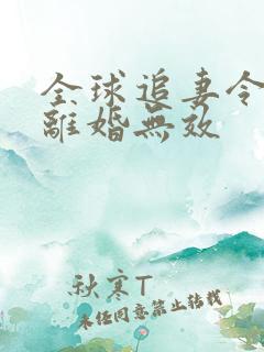 全球追妻令老婆离婚无效