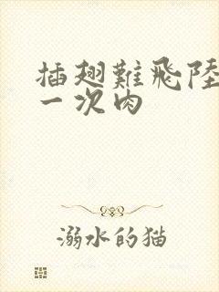 插翅难飞陆进第一次肉