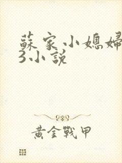 苏家小媳妇1V3小说