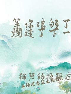 等你浪够了b也烂透了下一句