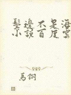 鬓边不是海棠红小说百度云