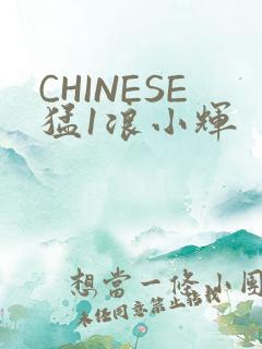 CHINESE猛1浪小辉
