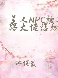 美人NPC被各路大佬爆炒小说