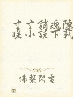 寸寸销魂陈聪王暖小说下载