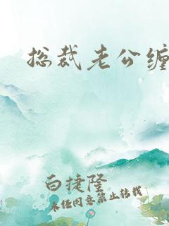 总裁老公缠上门